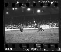 Ed Henson Calf roping