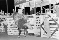 Randy Magers on Bull #9