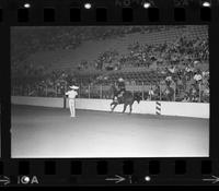 Charro Gomez Trick roping