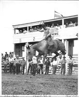Stan Cooley Klamath Falls ' 46
