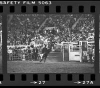 John Davis on Bull #T11