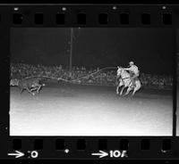 Dave Corlew Calf roping