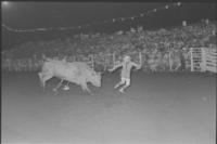 Rick Young, Rodeo clown, Bull fighting with Bull #25