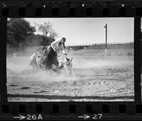 Unidentified Barrel racer