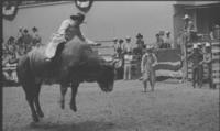 Marvin Shoulders on Bull #60
