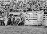 Lonnie Wyatt on Bull #45