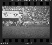 Billy Doenz Calf roping