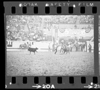 Bob Goodspeed Calf roping, 13.6 Sec