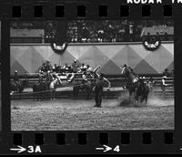 Ronnie Williams Calf roping