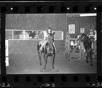 Unidentified young cowgirl on a horse