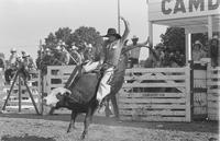 Unidentified Bull rider on unknown mount