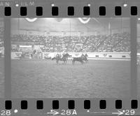 Anson Thurman & Harold Nichols Team roping