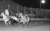 Unidentified Steer wrestler