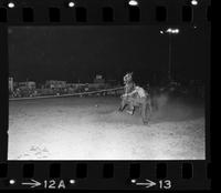 Jerry Wood Calf roping