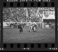 Kyle Ditto Calf roping