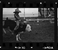 Fred Kreder Kids Bull riding