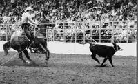 G.A. Yocham Calf roping