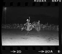 Don Cook on saddle bronc #1
