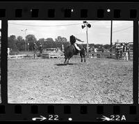 Dan Hubbard riding unknown Bull