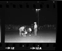 Rodeo clowns specialty act