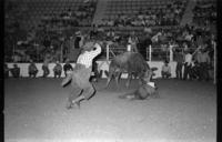 Wayne Hall on Bull #119