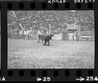 Barry Burk Calf roping