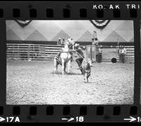 Linus Thornton Calf roping