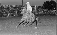 Unidentified rider in Pole bending event