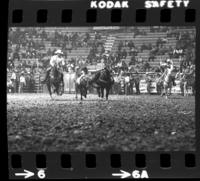 Scott Hudson steer wrestling