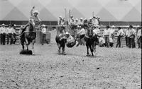 Ed Farmer Steer wrestling