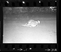 Brodus Gravette Steer wrestling