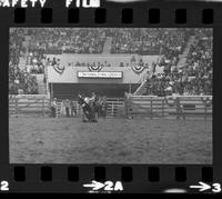 Don W. Smith Calf roping