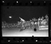 Jerry Bishop on Bull #28