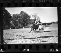 Unidentified Barrel racer