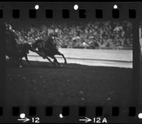 Jack Milhollin Steer wrestling