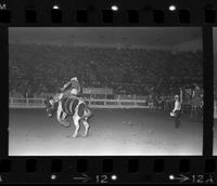 Jack Duce on Saddle Tramp