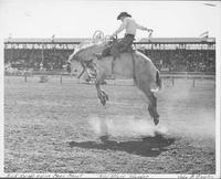 Nick Knight Riding Gray Ghost, Red Bluff Roundup