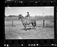 Unidentified Cowgirl on horsesback