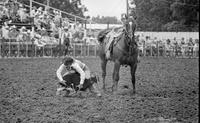 Unidentified Goat tying participant