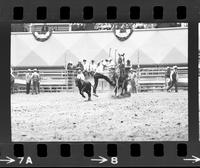 Rick Parsons Calf roping