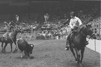 Deines & Padilla Team ropers