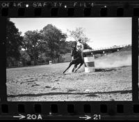 Unidentified Barrel racer