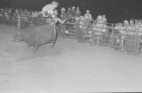 Miles Hare, Rodeo clown, Bull fighting with Bull #H