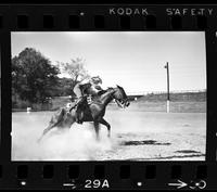 Unidentified Barrel racer