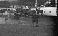 Eugene King Calf roping