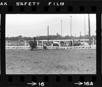 John Brown Calf roping