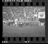 Rick Bradley Steer wrestling