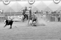 Ernie Taylor Calf roping