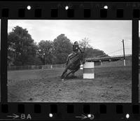 Unidentified Barrel racer