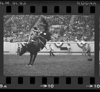 Howard Hunter on Bronc #X-9